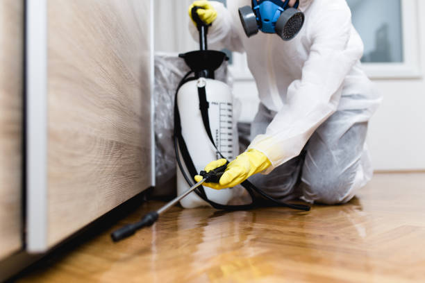 Best Emergency Pest Control  in Rathdrum, ID