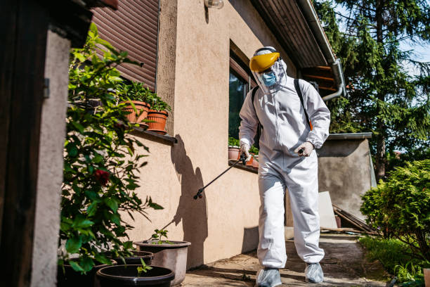 Best Residential Pest Control  in Rathdrum, ID