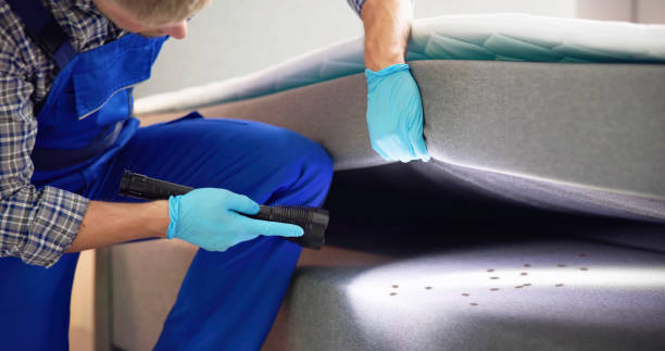 Best Rat Extermination Near Me  in Rathdrum, ID