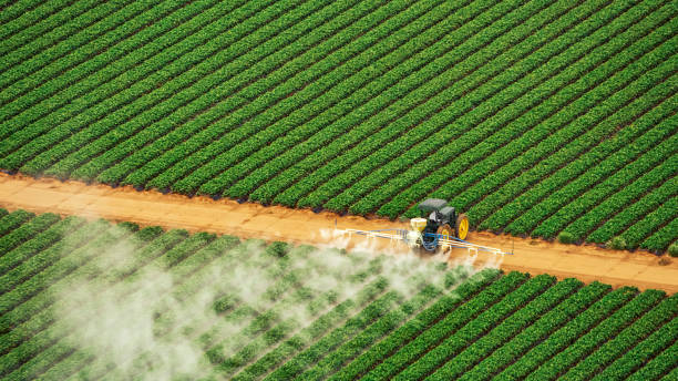 Best Insect Control  in Rathdrum, ID