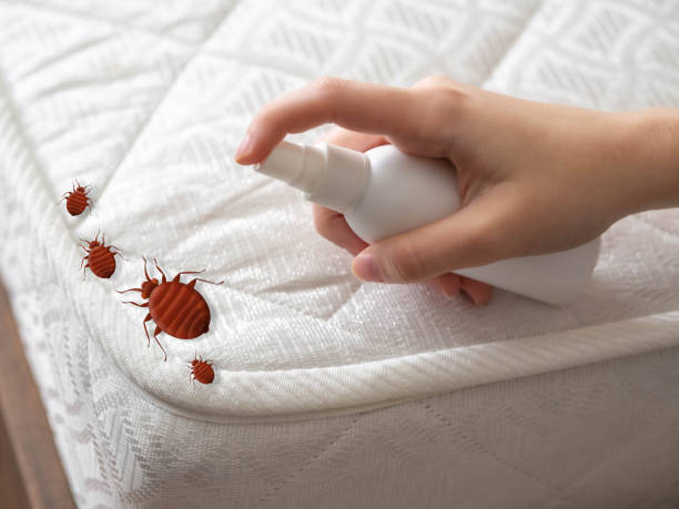 Best Pest Control Near Me  in Rathdrum, ID
