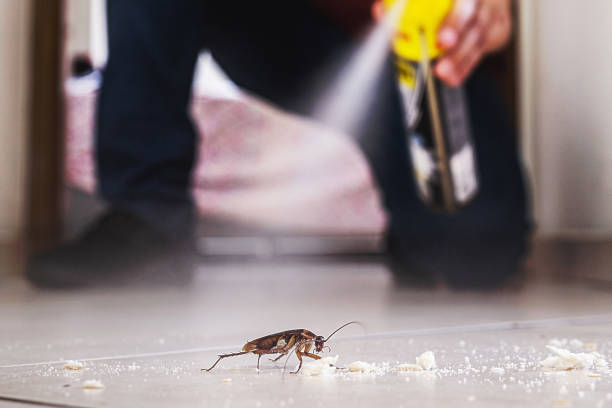Best Affordable Pest Control Services  in Rathdrum, ID