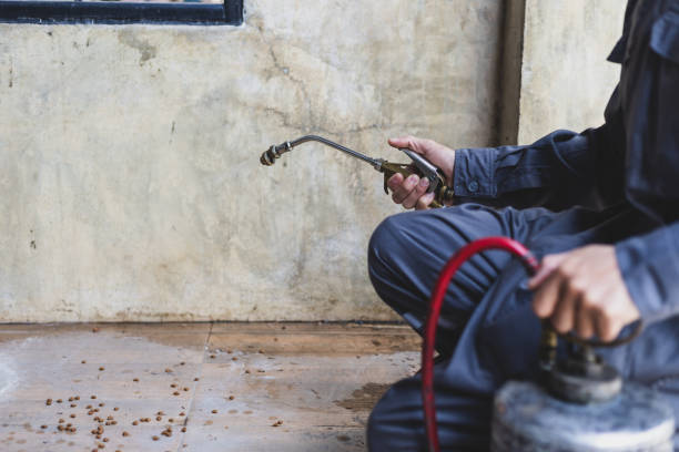 Best Pest Inspection Near Me  in Rathdrum, ID