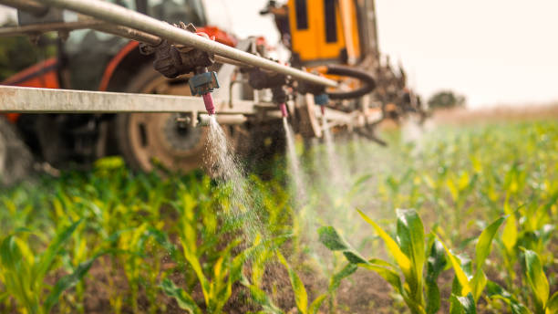 Trusted Rathdrum, ID Pest Control Experts